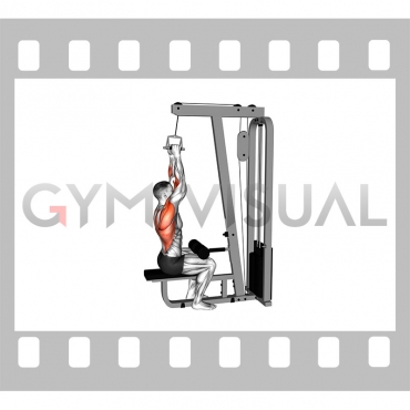 Cable Lateral Pulldown with V-bar