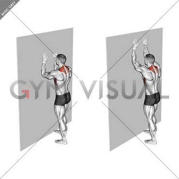 Serratus Wall Slide