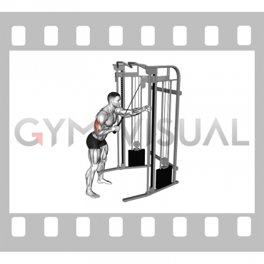 Cable Single Arm Triceps Pushdown (rope attachment)