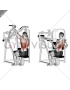 Reverse grip machine lat pulldown