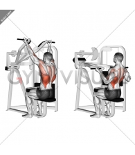 Reverse grip machine lat pulldown