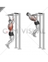 Reverse grip Pull-up