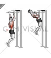 Reverse grip Pull-up