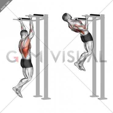 Reverse grip Pull-up