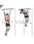 Rocky Pull-Up Pulldown