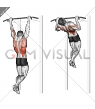 Rocky Pull-Up Pulldown