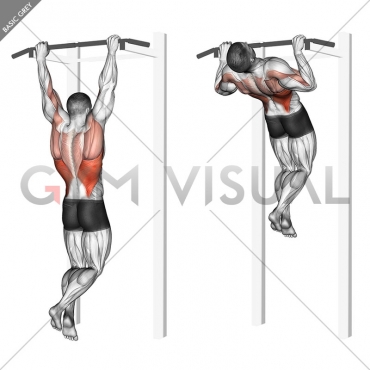 Rocky Pull-Up Pulldown