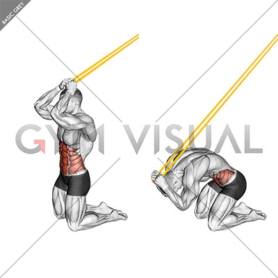 Resistance band ab discount crunch