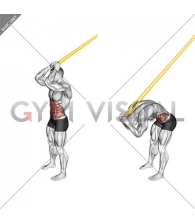 Resistance Band Standing Ab Crunch
