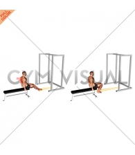 Resistance Band Seated Leg Curl