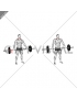 Barbell Wide Shrug