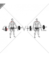 Barbell Wide Shrug