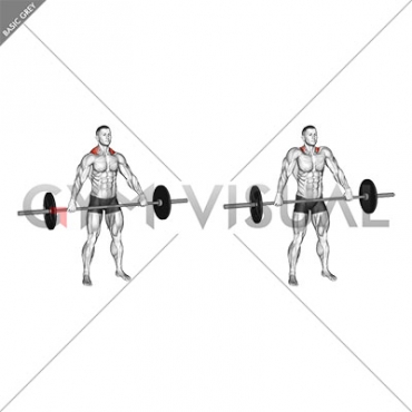 Barbell Wide Shrug