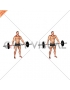 Barbell Wide Shrug