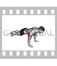 Hands Release Push-up (male)