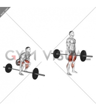 Barbell One Arm Side Deadlift