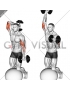 Dumbbell Biceps Curl with Overhead Extension on Stability Ball