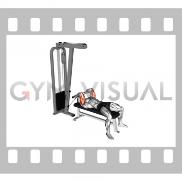 Cable Lying Triceps Extension (Low)