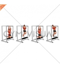 Assisted Commando Pull-up