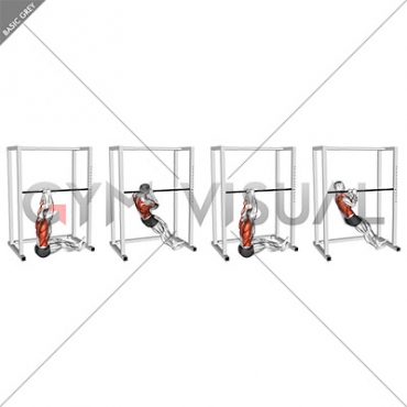 Seated Commando Pull-up