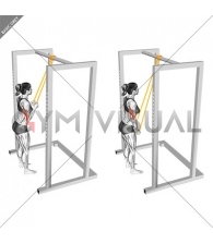 Resistance Band Triceps Pushdown (female)