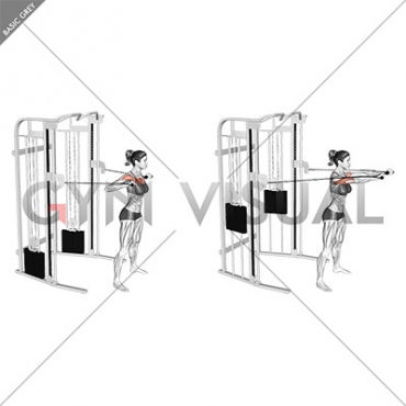 Cable Standing Chest Press