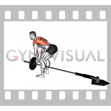 Landmine Bent over Row with V-bar (plate loaded)