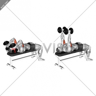 Dumbbell Lying Triceps Extension