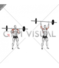 Barbell Standing Military Press (without rack)