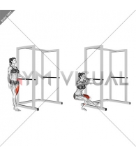 Single Leg Squat with Support (female)
