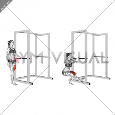 Single Leg Squat with Support (female)