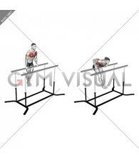 Chest Dip on Straight Bar