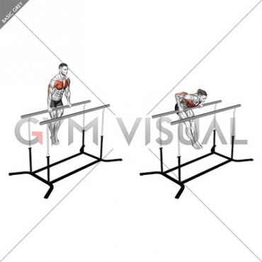 Chest Dip on Straight Bar