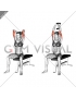 Dumbbell Seated Triceps Extension (female)