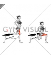 Split Squat (female)