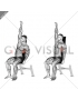 Seated Lower Back Stretch