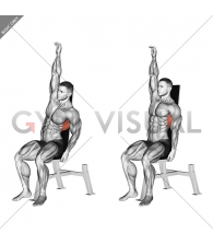 Seated Pull up (legs elevated)