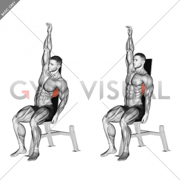 Seated Lower Back Stretch