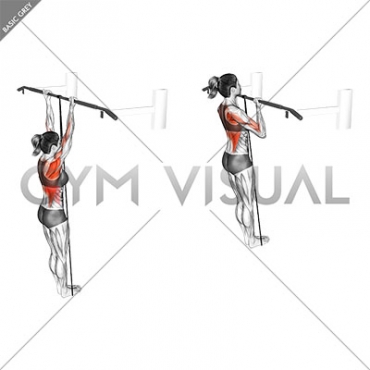 Band Assisted Chin-Up (female)