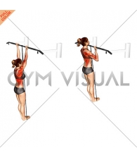 Band Assisted Chin-Up (female)
