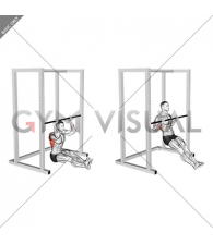 Seated Pull-up (low bar position)