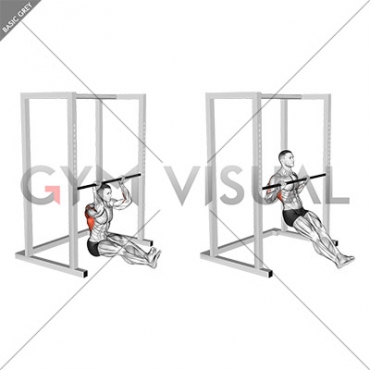 Seated Pull-up (low bar position)