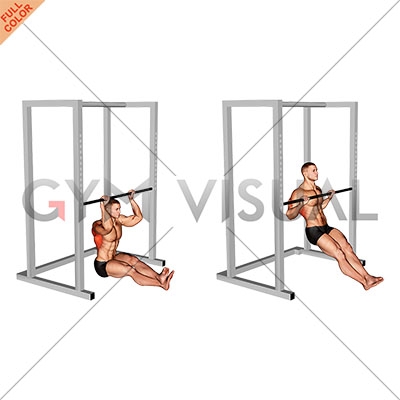 https://gymvisual.com/20713-thickbox_default/seated-pull-up-low-bar-position.jpg