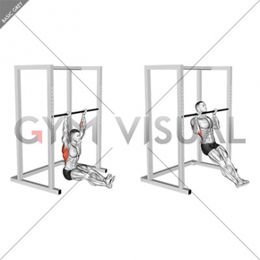 Seated Pull-up