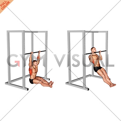 https://gymvisual.com/20715-thickbox_default/seated-pull-up.jpg