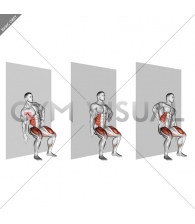 Seated Side Crunch (Wall)