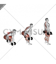 Dumbbell Deadlift (neutral grip)