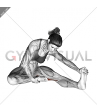 Seated Single Leg Hamstring Stretch