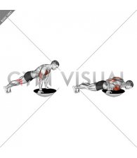 Push-up (bosu ball)