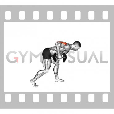 Dumbbell One Arm Kickback